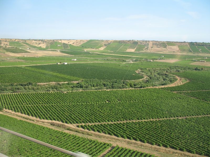 AGRIGENTE - Sur la route.jpg